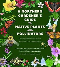 A Northern Gardener’s Guide to Native Plants and Pollinators by Lorraine Johnson and Sheila Colla | An Island Press book