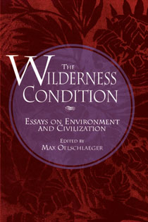 The Wilderness Condition