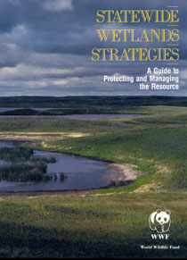 Statewide Wetlands Strategies