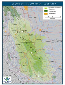 Crown of the Continent Ecosystem. Photo credit: Y2Y