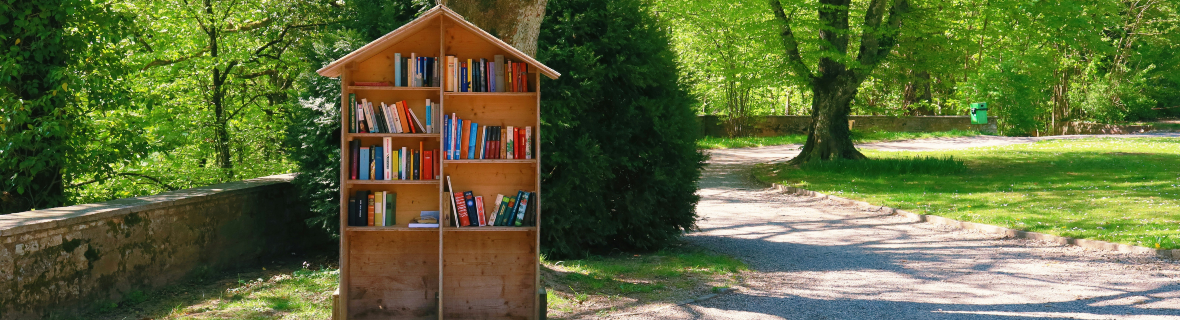 Go to A Library and Check Out a Great Walk | Photo credit: Unsplash