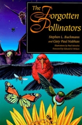 The Forgotten Pollinators