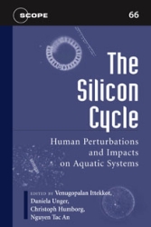 The Silicon Cycle