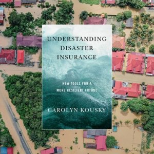 Understanding Disaster Insurance by Carolyn Kousky | Get the ebook for $1.99 at your favorite ebook retailer.