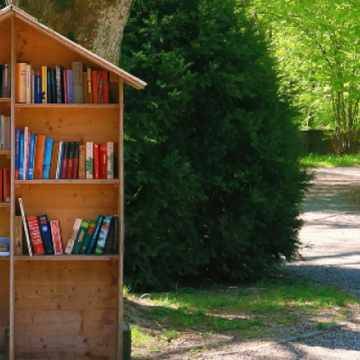 Go to A Library and Check Out a Great Walk | Photo credit: Unsplash